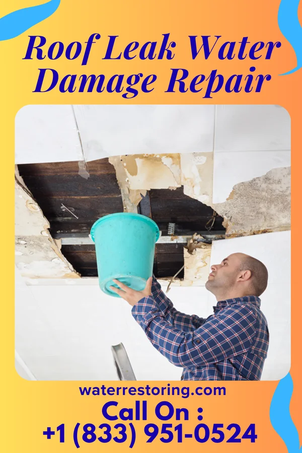 Roof Leak Water Damage Repair in Edmund, SC